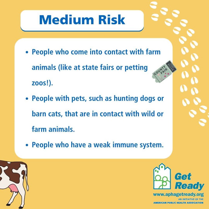 Bird flu medium risk