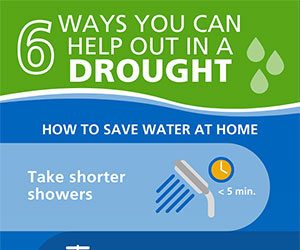 6 Ways You Can Help Out During a Drought